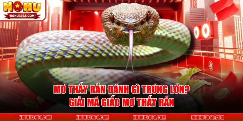 Mơ Thấy Rắn Đánh Gì Trúng Lớn? Giải Mã Giấc Mơ Thấy Rắn